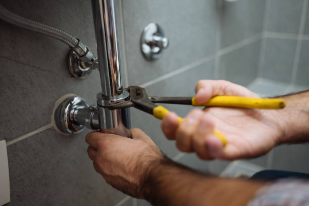 Best Local Plumber Services  in East Bangor, PA